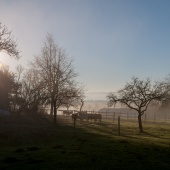 Foto vergrern