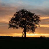 Foto vergrern