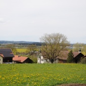 zum Vergrößern anklicken Foto vergrößern